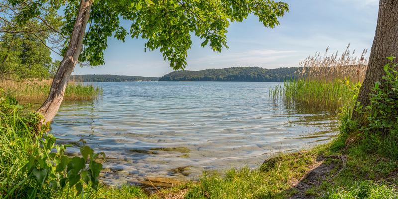 Uns Hüsung - Waldgaststätte, Biergarten & Pension Uns Hüsung - Waldgaststätte, Biergarten & Pension